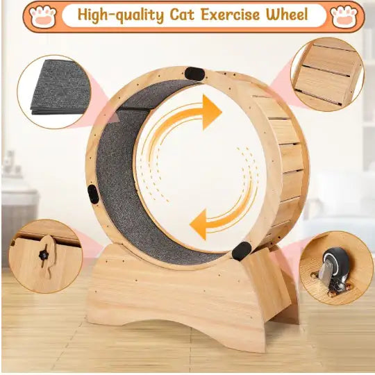 Cat Treadmill With Carpeted Runway, Kitty Cat Sport Toy